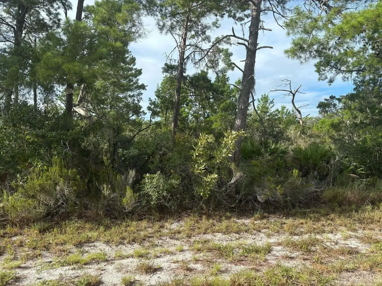 635 Boylston Street, Lake Placid FL 33852