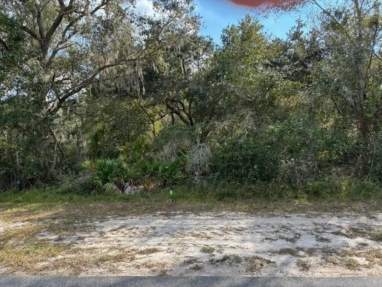 2701 Park Avenue, FL 33855 photo 3