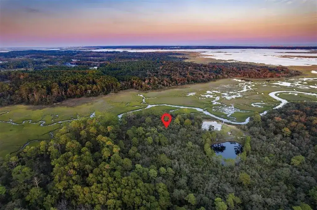 0 Mango Lane, FL 32034 photo 4