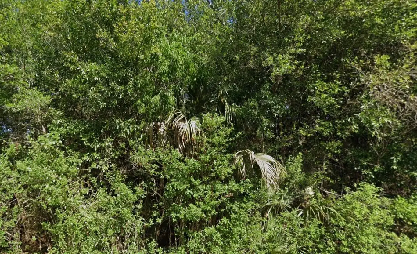 4702 Vera Avenue, Lehigh Acres FL 33971 photo 4