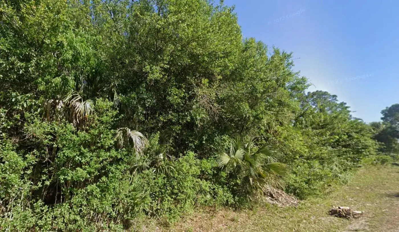 4702 Vera Avenue, Lehigh Acres FL 33971 photo 5