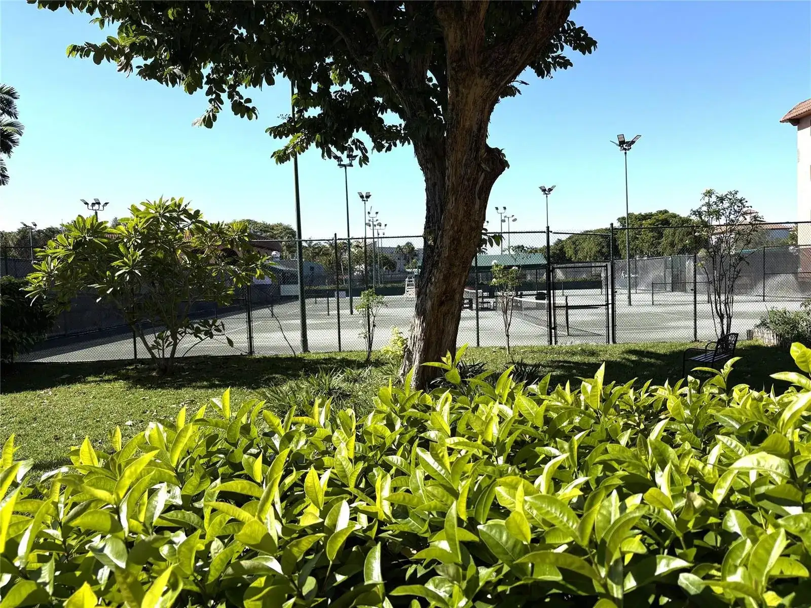 620 Tennis Club Drive # 105, Fort Lauderdale FL 33311 photo 3