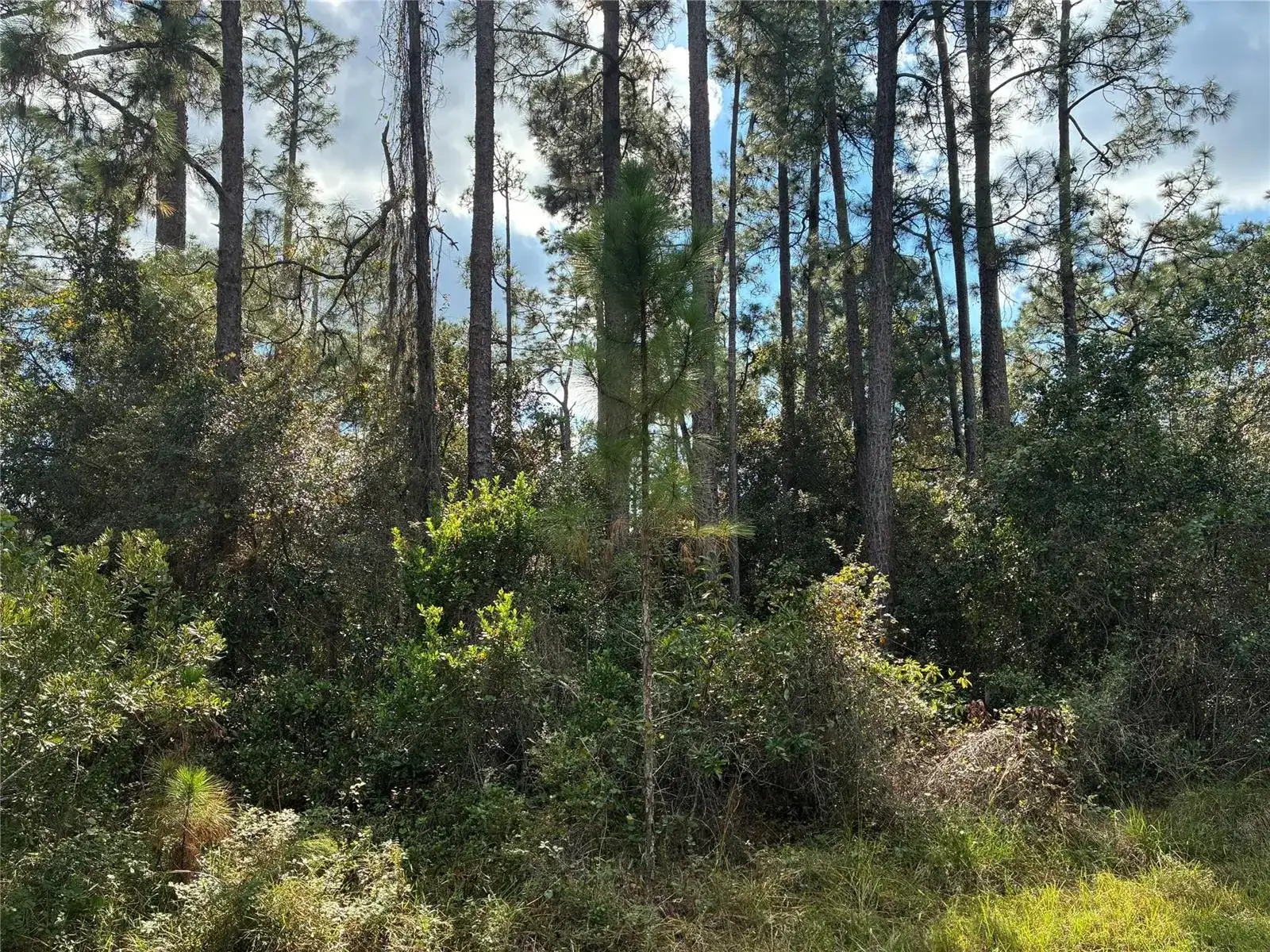 Lot 15 Park Avenue, FL 33855 photo 2