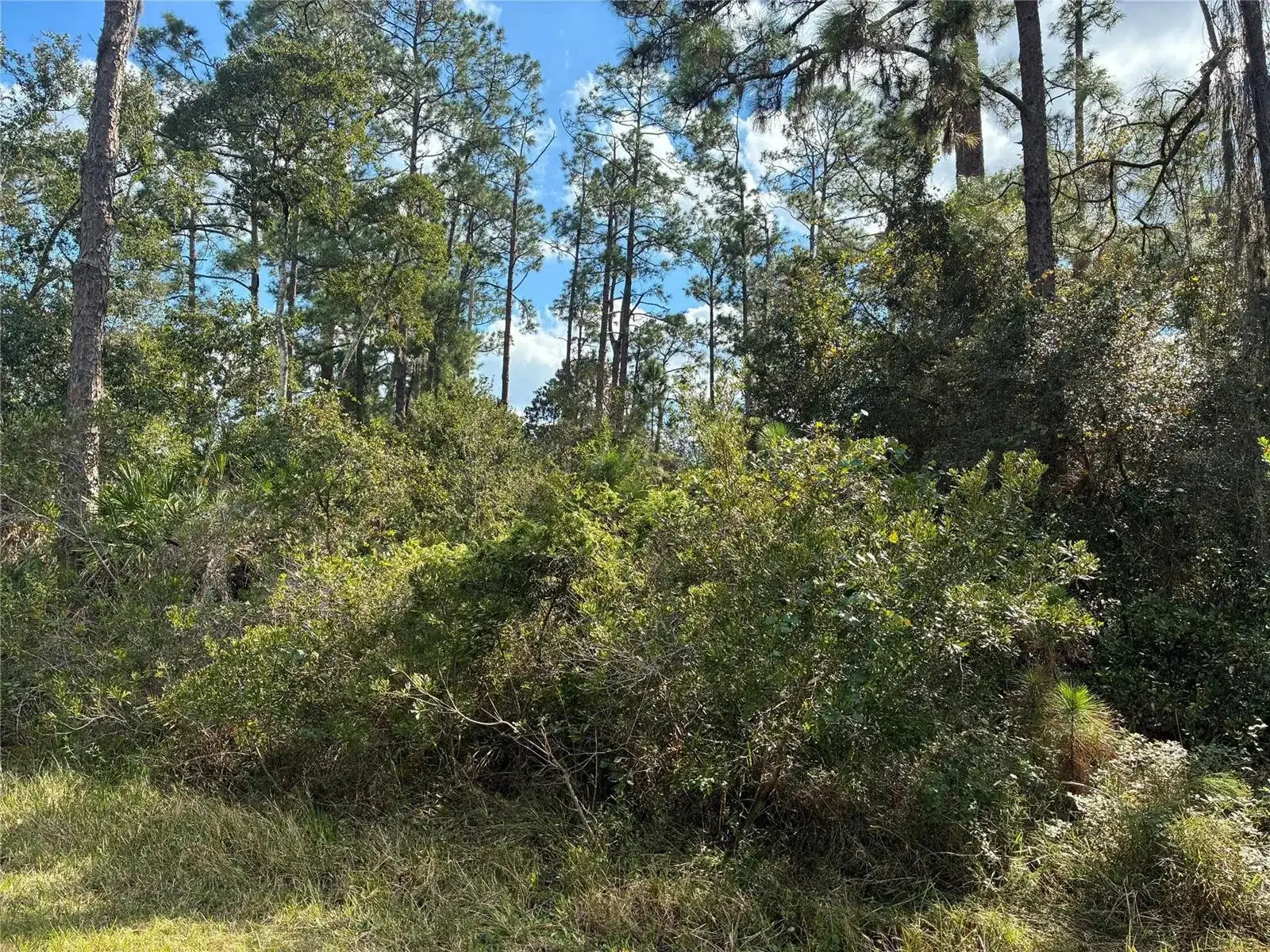 Lot 15 Park Avenue, FL 33855 photo 3