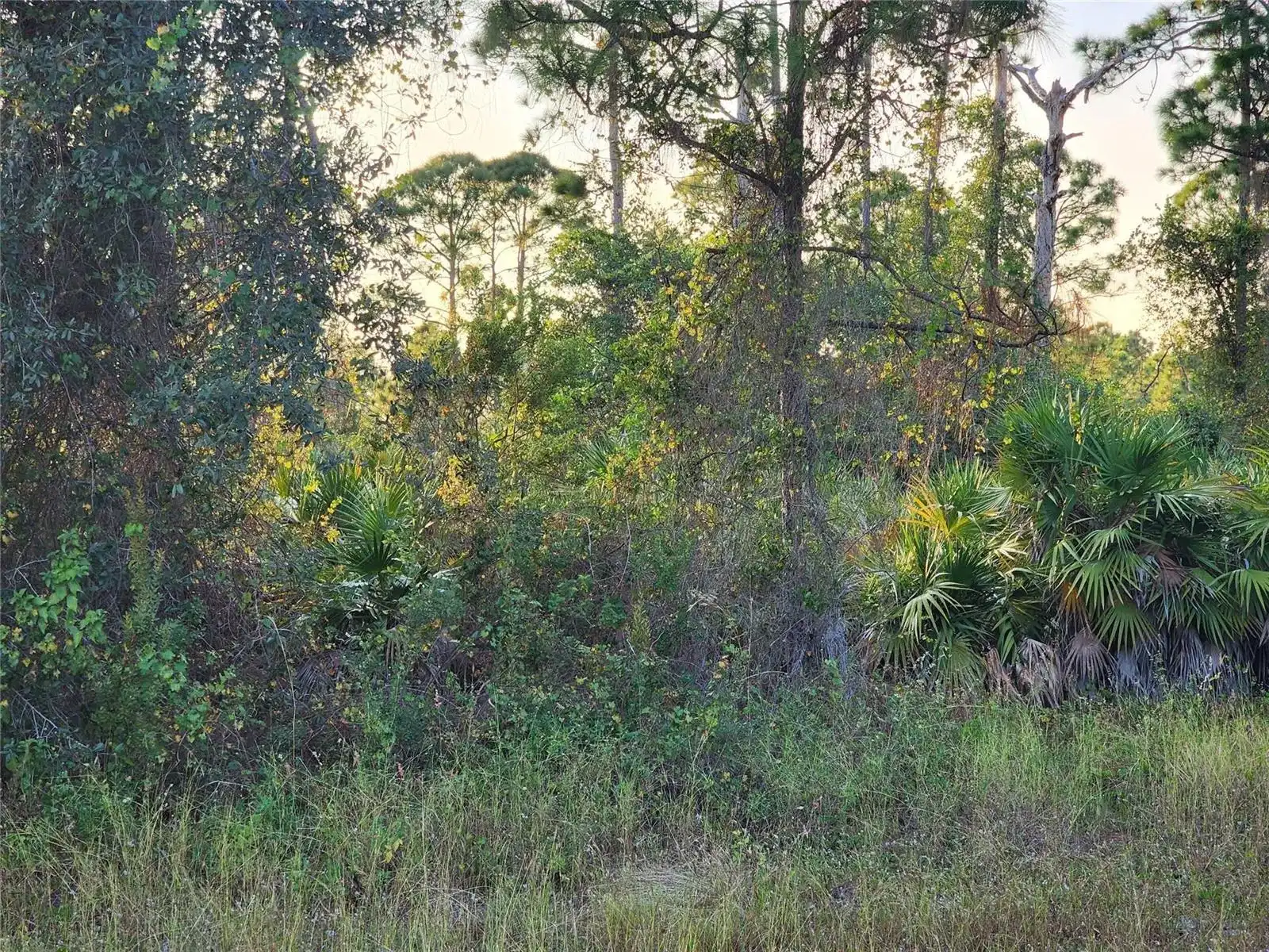 842 Genoa Avenue, Lehigh Acres FL 33974