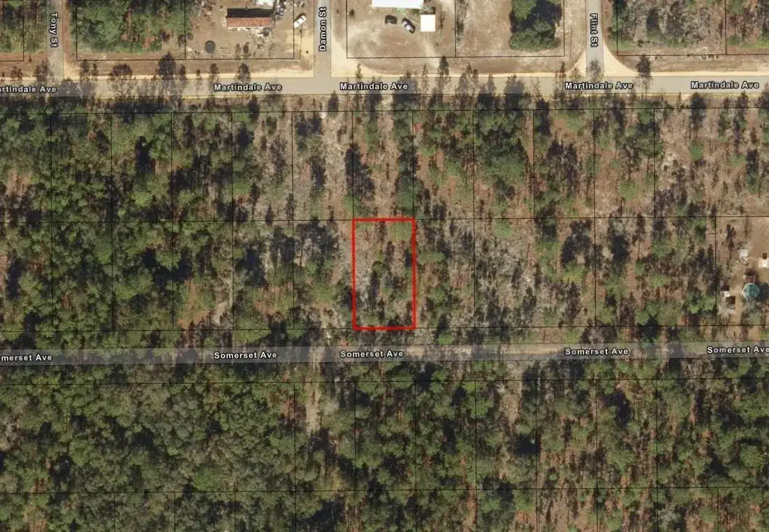 0 Somerset Avenue, FL 32148 photo 2
