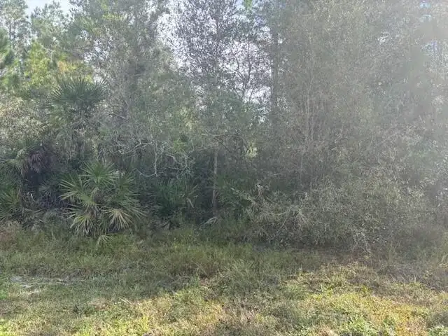 0 Old Grade Road, FL 33868 photo 2
