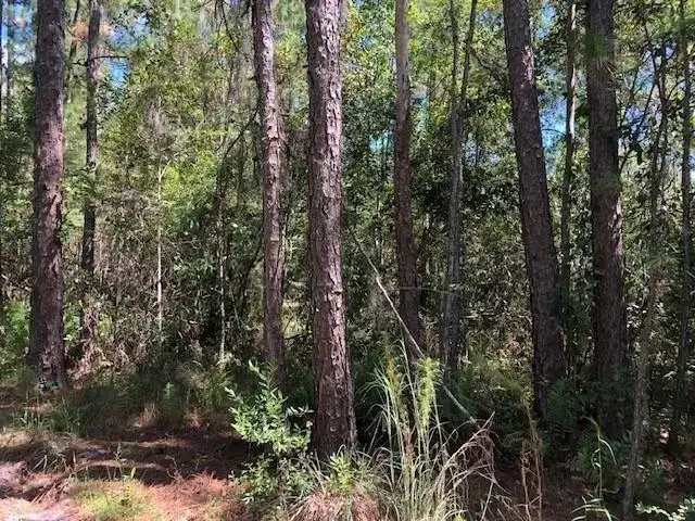 0 Old Grade Road, FL 33868 photo 2