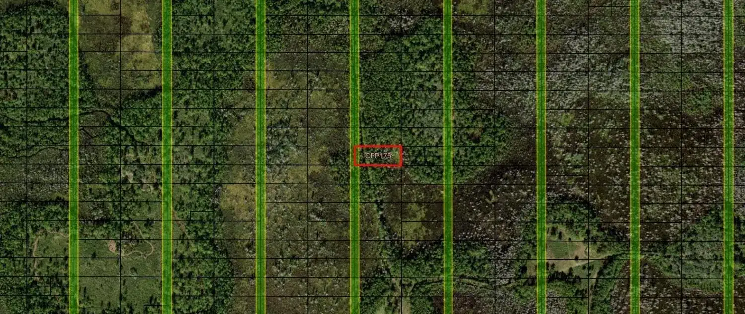 0 Old Grade Road, FL 33868 photo 3