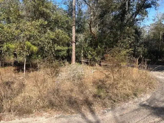 0 County Rd 54, FL 33849 photo 2