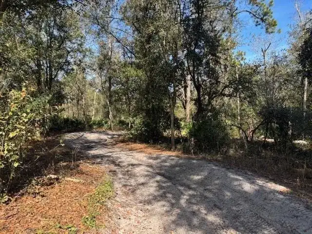 0 County Rd 54, FL 33849 photo 3