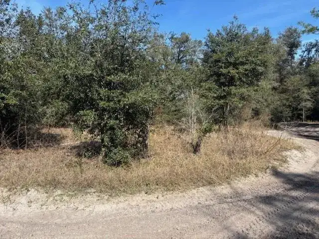 0 County Rd 54, FL 33849 photo 2