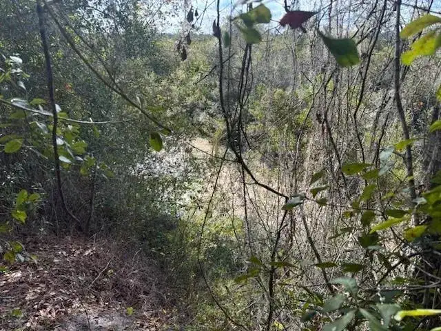 0 County Rd 54, FL 33849 photo 2