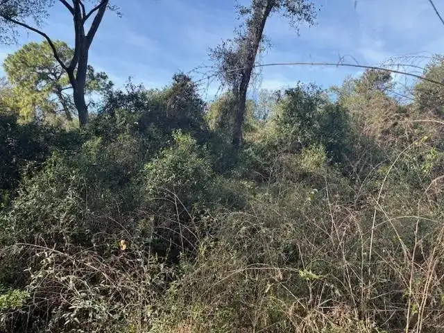 0 County Rd 54, FL 33849 photo 2