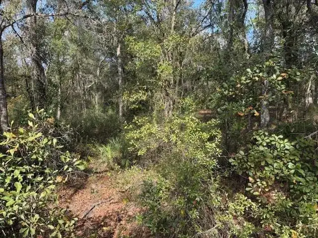 0 County Rd 54, FL 33849 photo 2