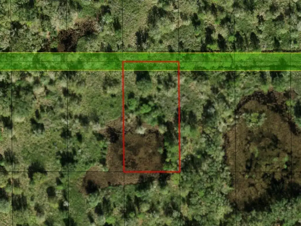 0 County Rd 54, FL 33849 photo 2