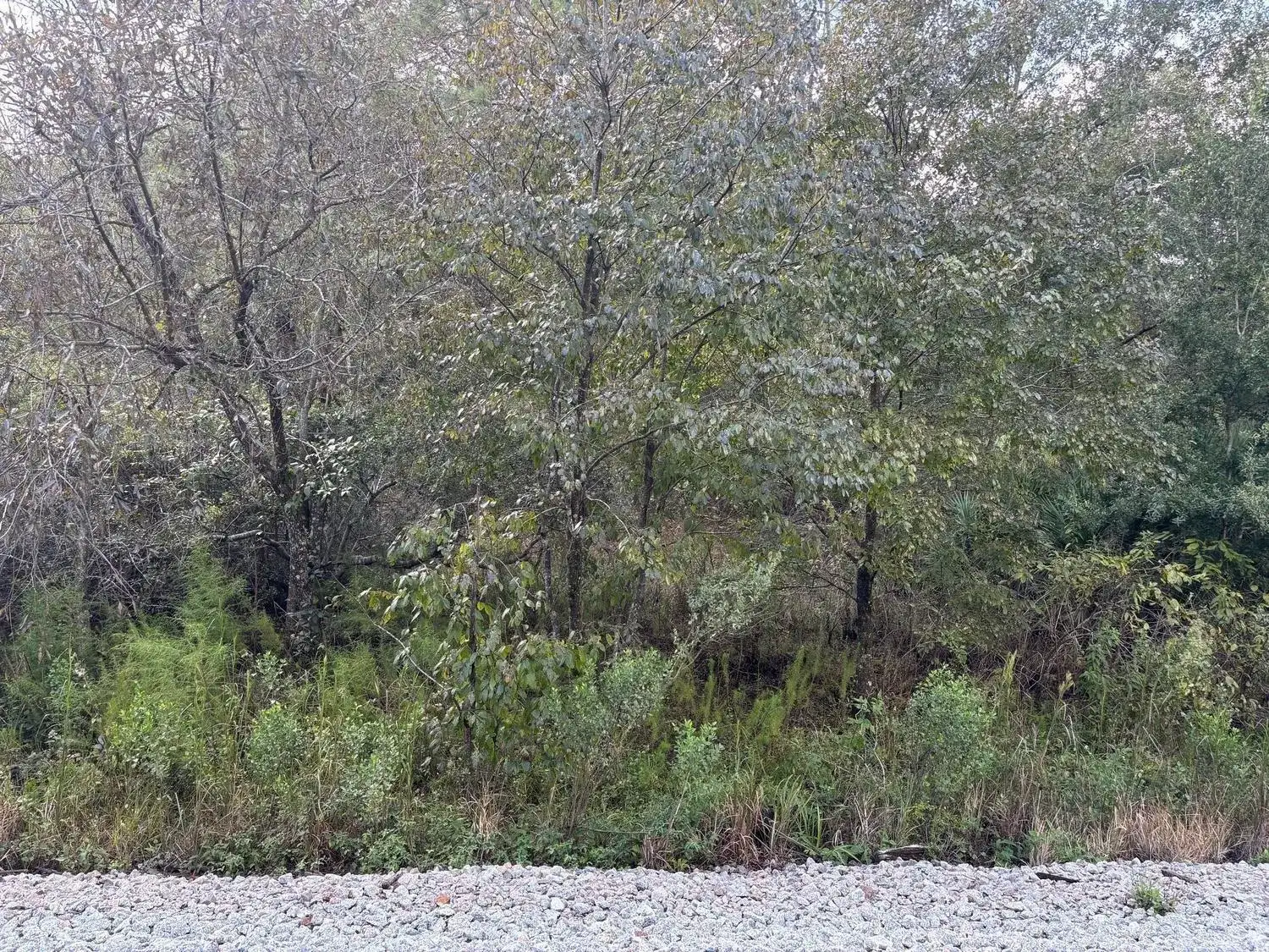 0 County Rd 54, FL 33849 photo 2