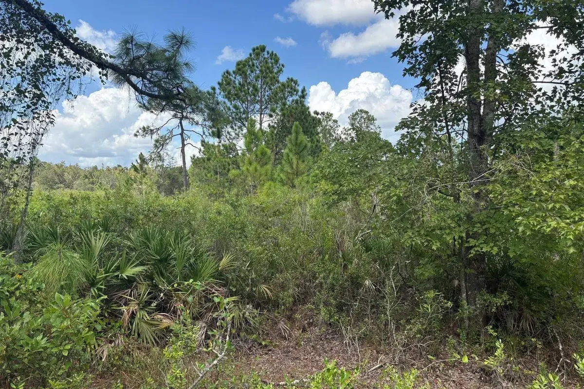 0 County Rd 54, FL 33849