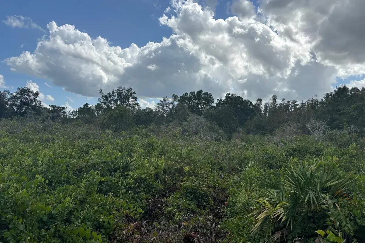0 County Rd 54, FL 33849
