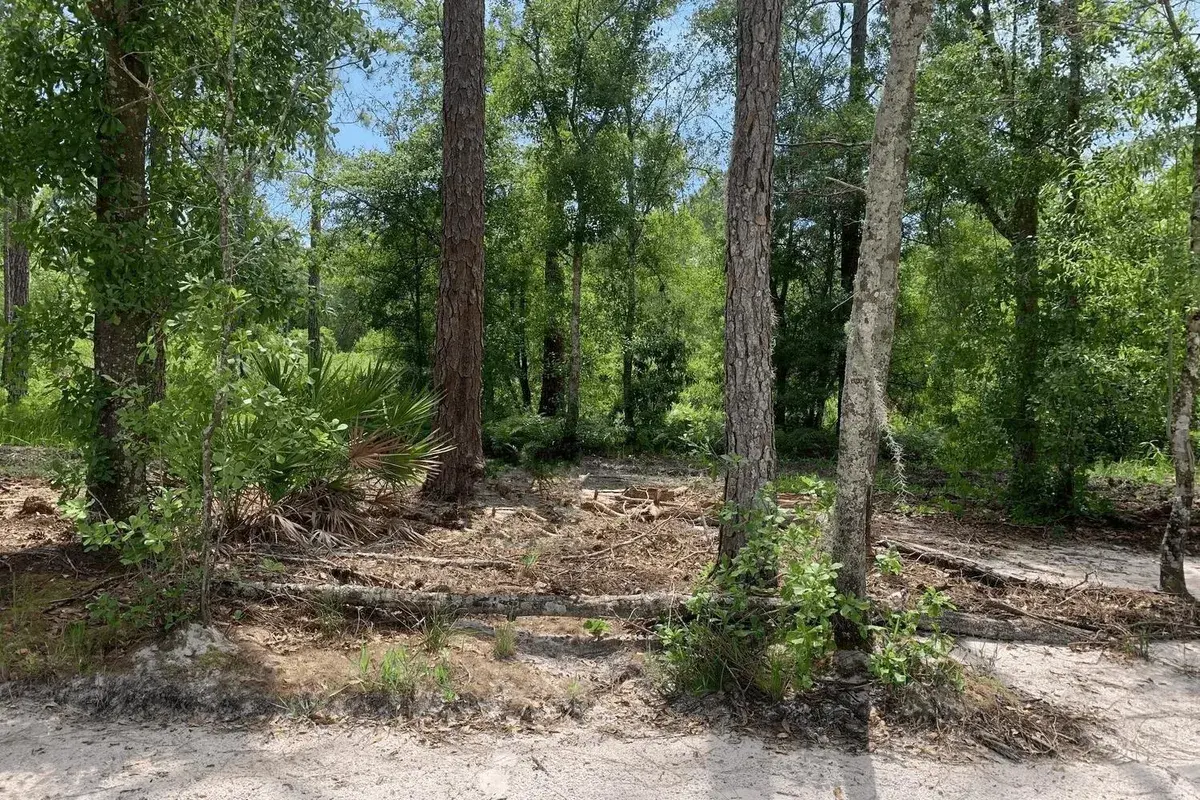 0 County Rd 54, FL 33849