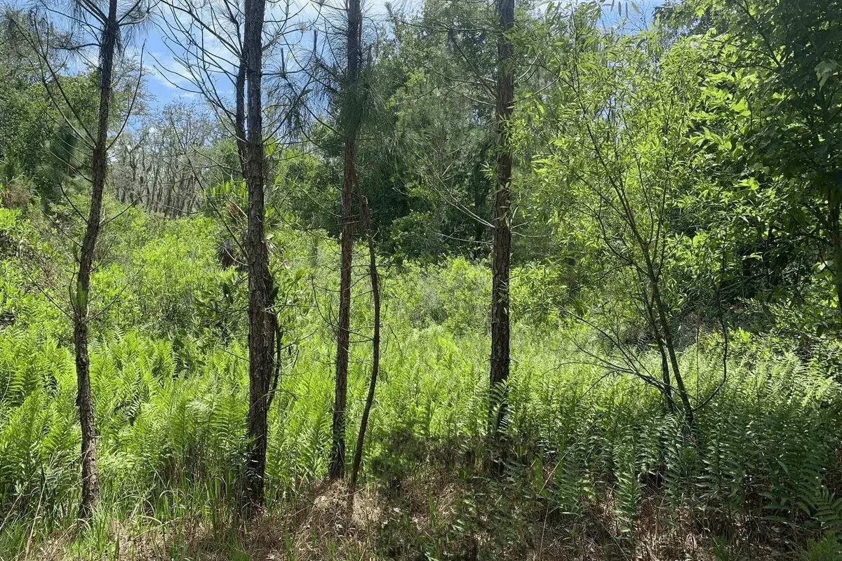 0 County Rd 54, FL 33849