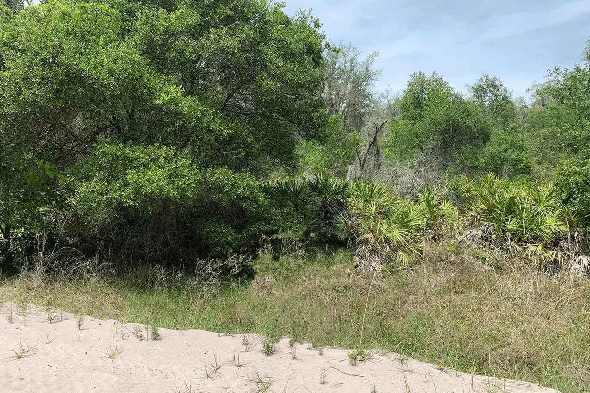 0 County Rd 54, FL 33849
