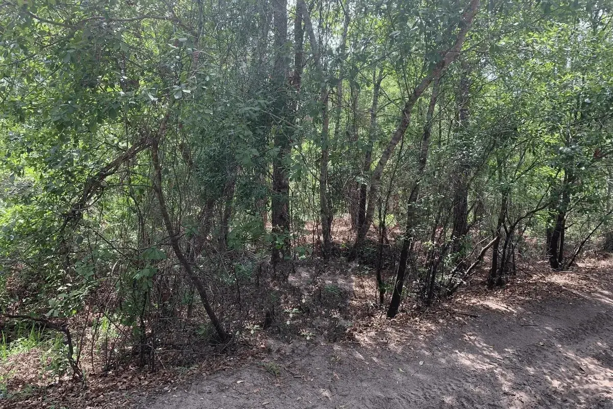 0 County Rd 54, FL 33849