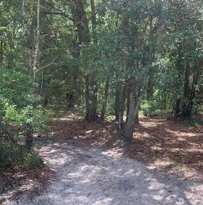 0 County Rd 54, FL 33849