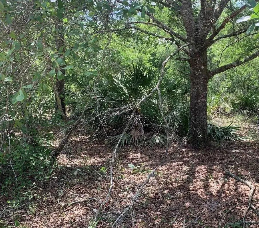 0 County Rd 54, FL 33849