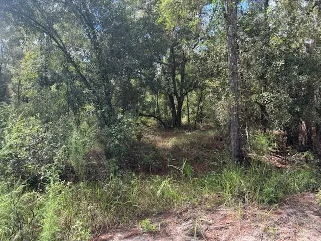 0 County Rd 54, FL 33849
