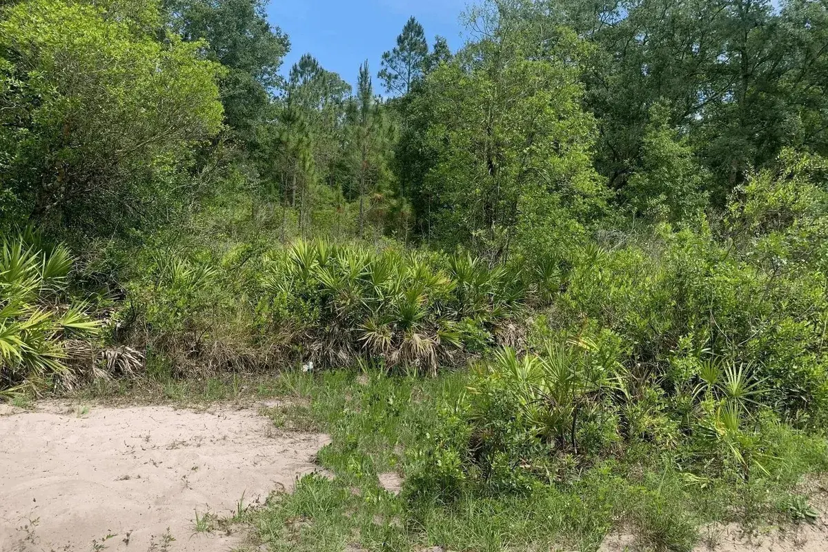 0 County Rd 54, FL 33849