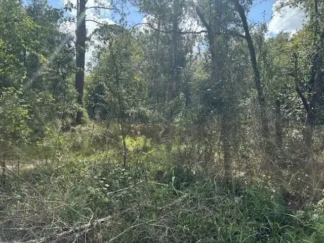 0 County Rd 54, FL 33849 photo 2