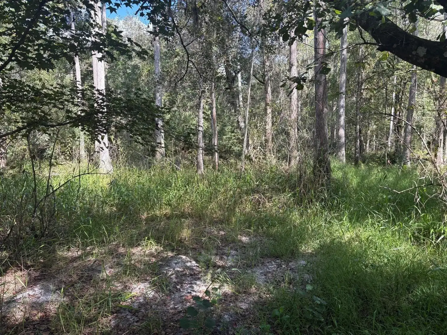 0 County Rd 54, FL 33849 photo 2