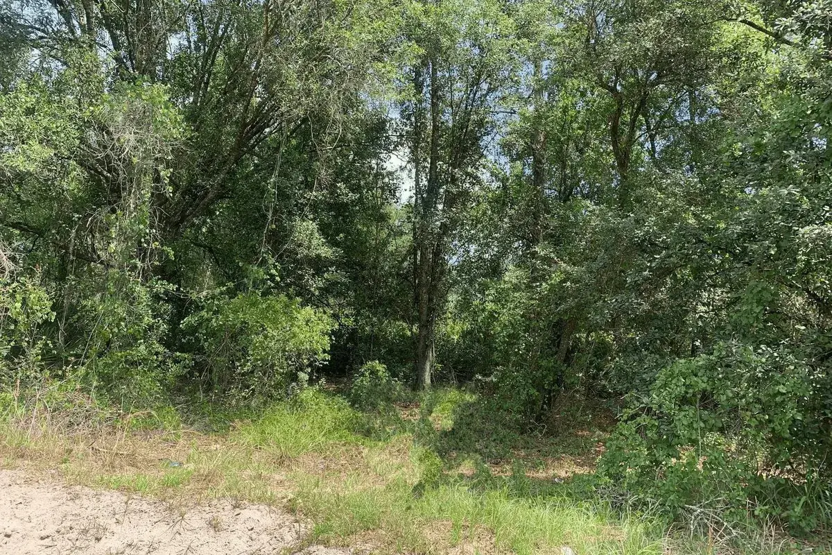 0 County Rd 54, FL 33849