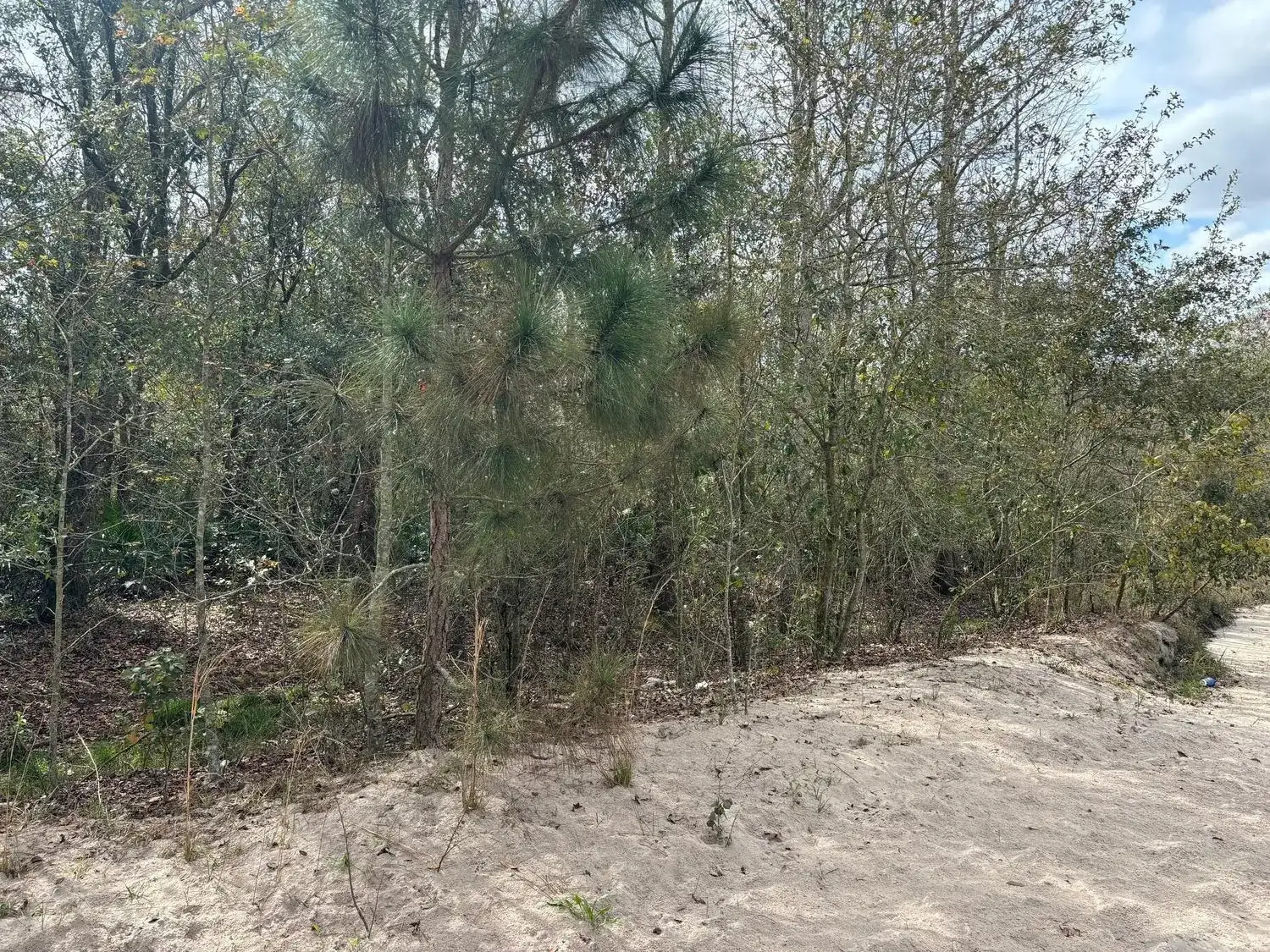 0 County Rd 54, FL 33849 photo 2
