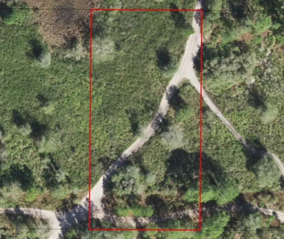 0 County Rd 54, FL 33849 photo 3