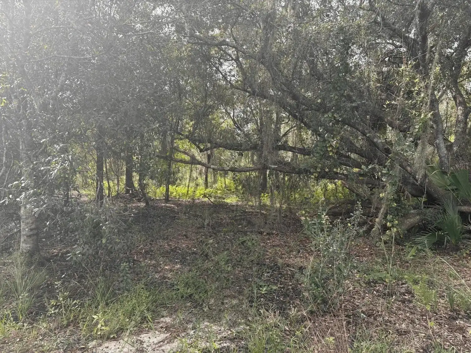 0 NW 304th Street, Okeechobee FL 34972