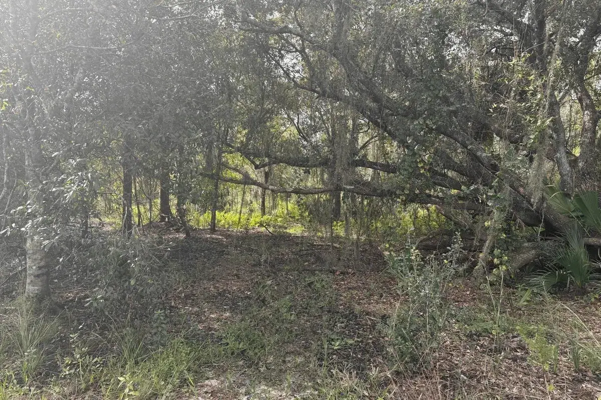 0 NW 304th Street, Okeechobee FL 34972