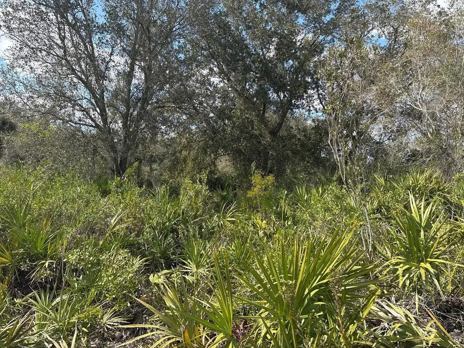 0 NW 300th Street, Okeechobee FL 34972 photo 2