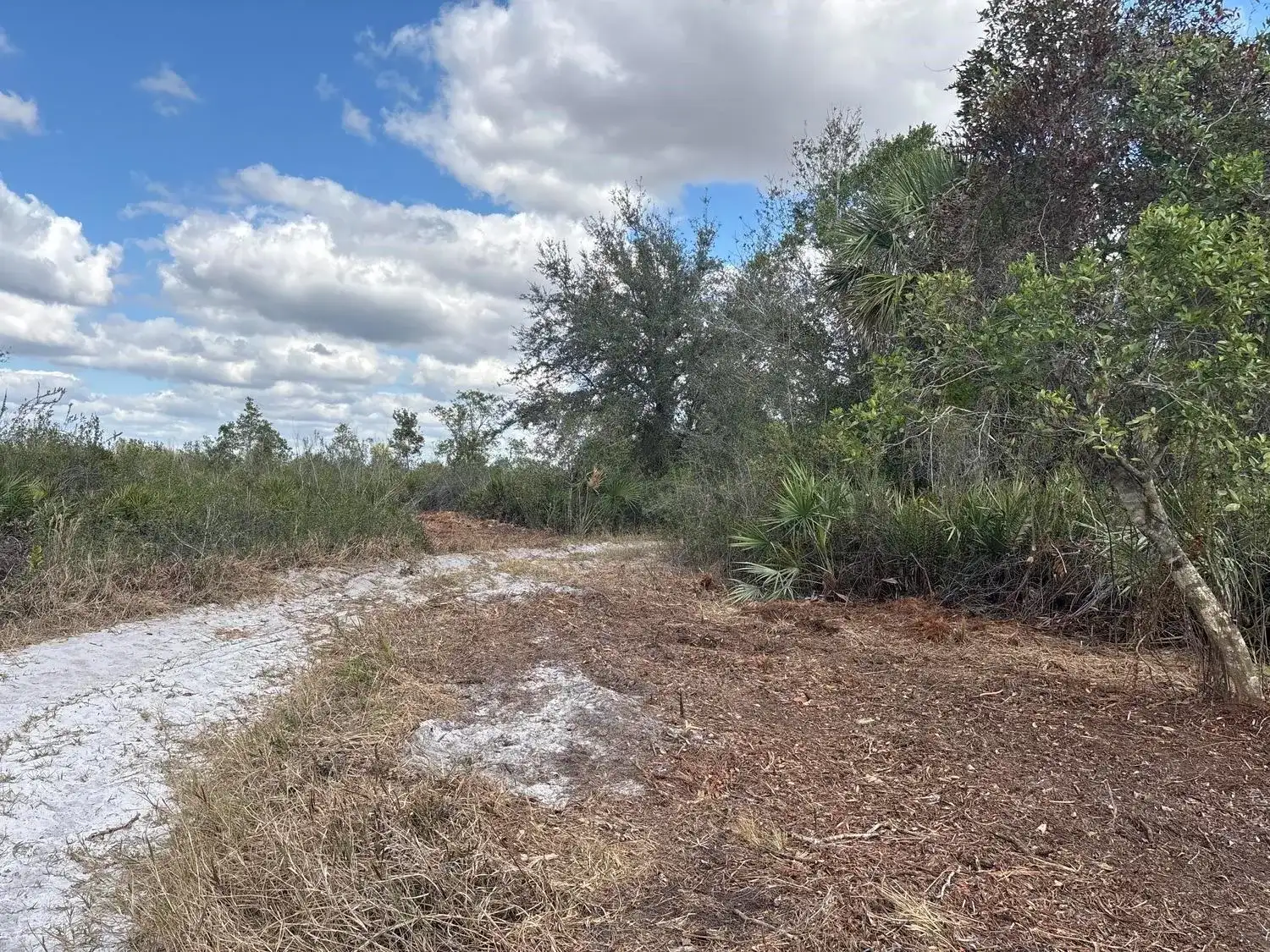 0 NW 302nd Street, Okeechobee FL 34972 photo 2
