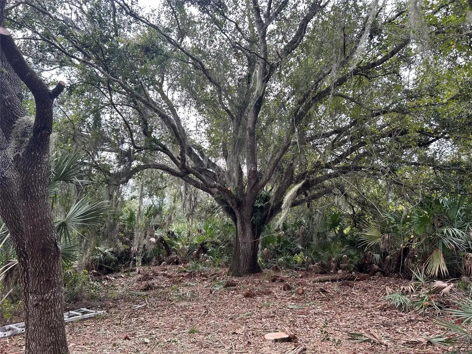 0 298th Street, Okeechobee FL 34972