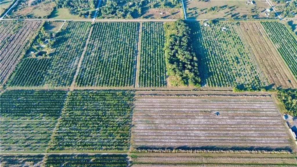 2205 Hicks Road, FL 33857 photo 4