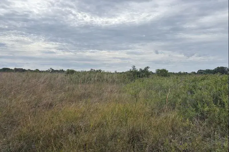 0 NW 318th Street, Okeechobee FL 34972