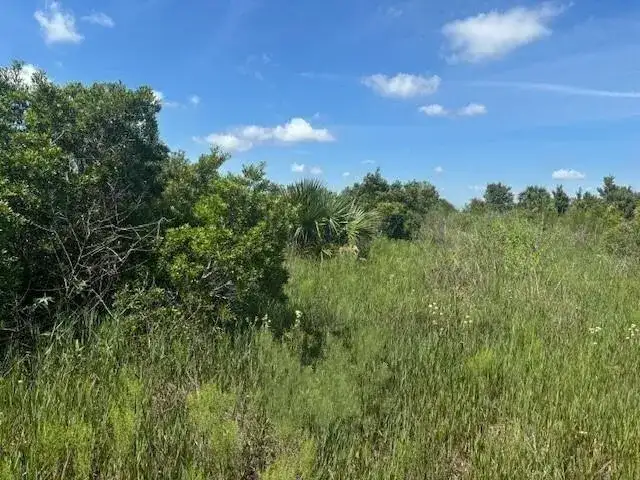 0 NW 310th Street, Okeechobee FL 34972 photo 2