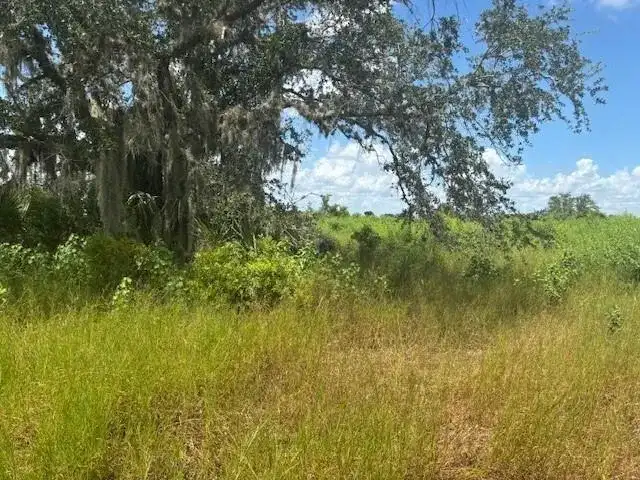 0 NW 316th Street, Okeechobee FL 34972