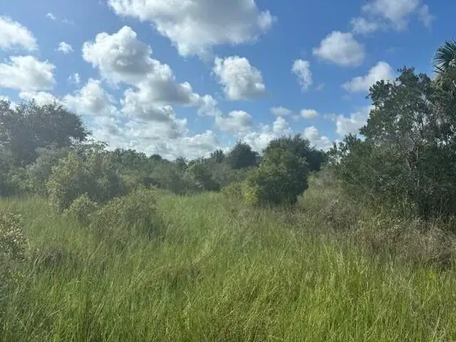 0 NW 316th Street, Okeechobee FL 34972 photo 2