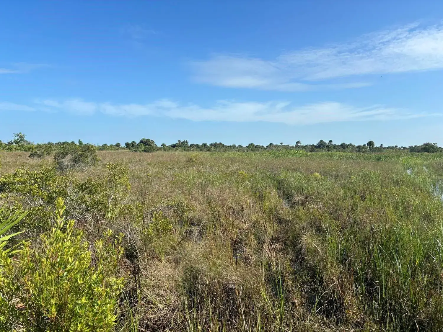 0 NW 318th Street, Okeechobee FL 34972 photo 2