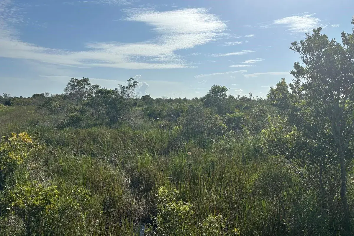 0 NW 318th Street, Okeechobee FL 34972
