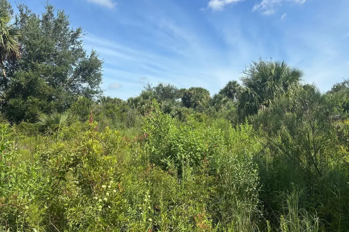 0 NW 312th Street, Okeechobee FL 34972