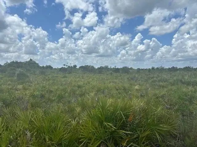 0 313th Street, Okeechobee FL 34972 photo 2